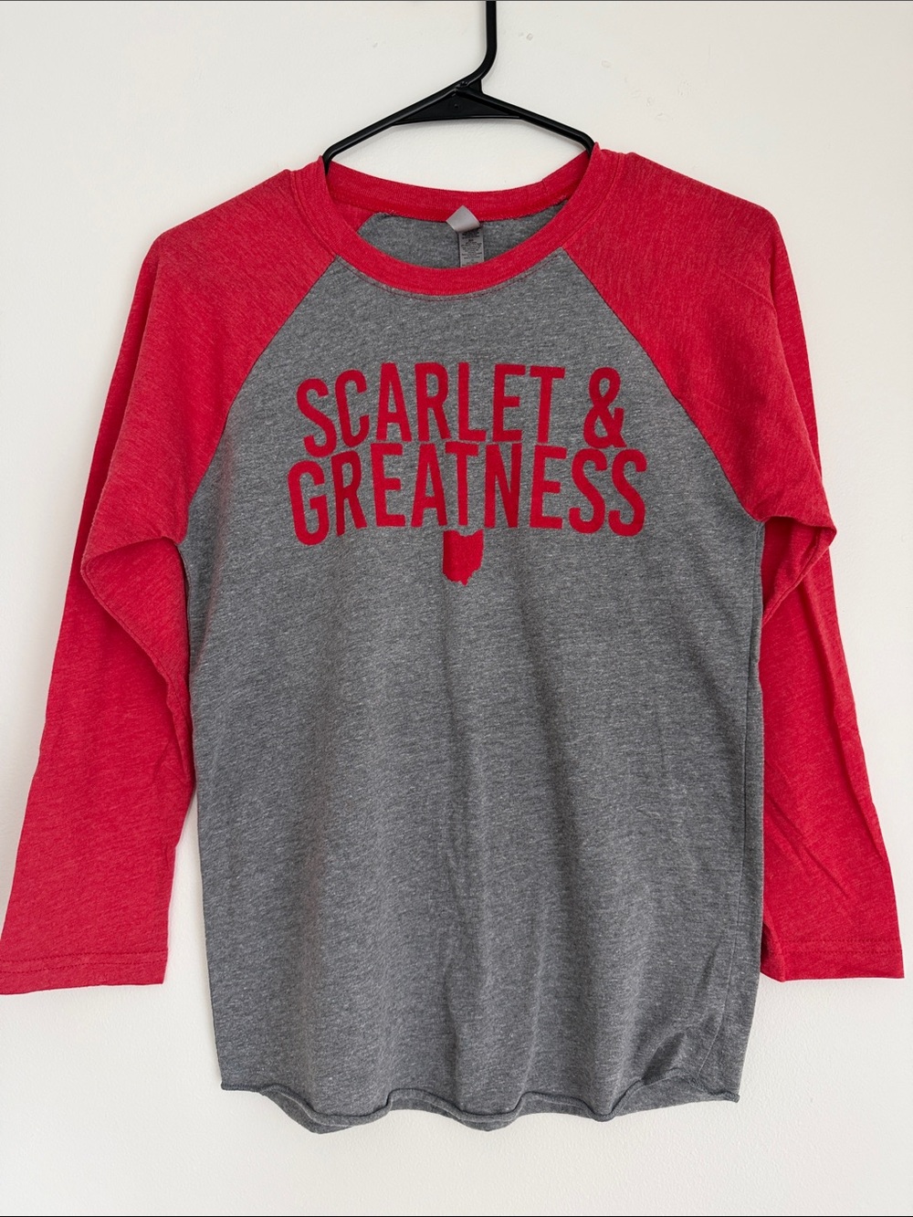 Ohio State “Scarlet & Greatness” Raglan Tee - Red and Gray
